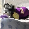 purplelady90